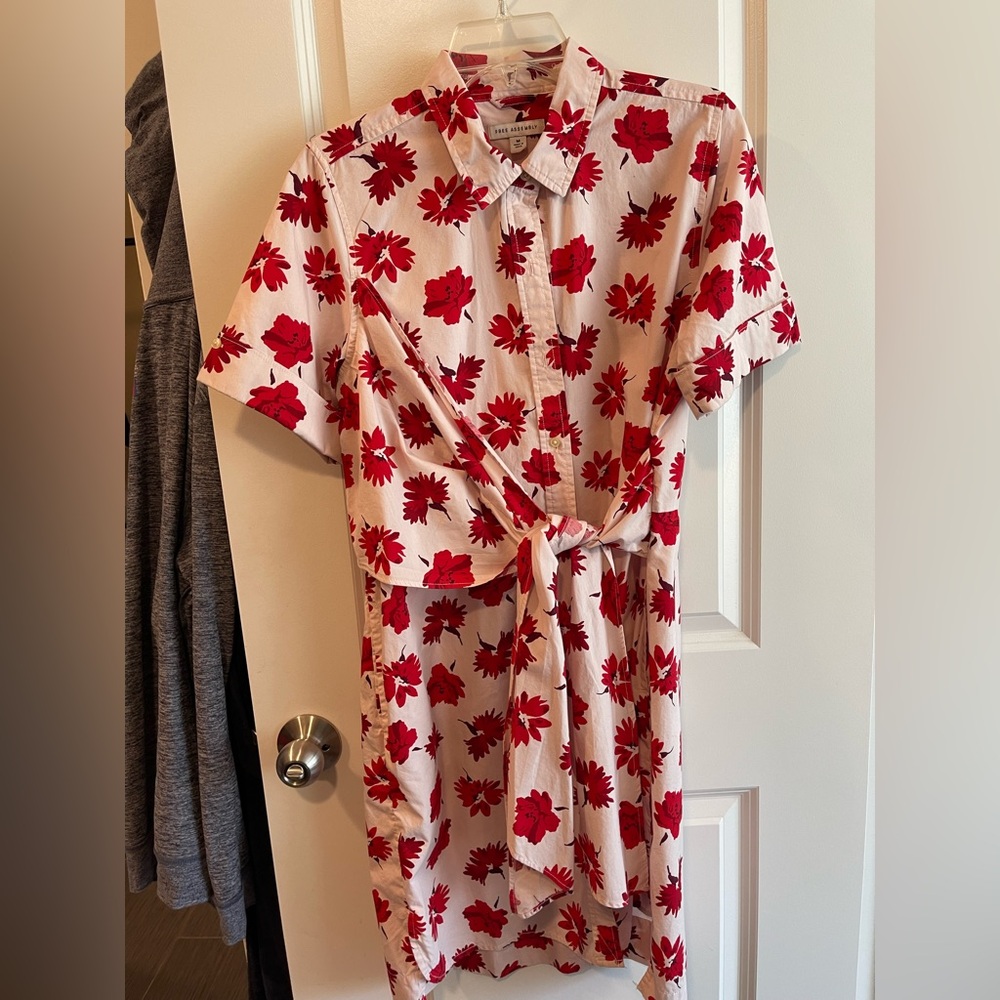 Free Assembly Red Floral Dress